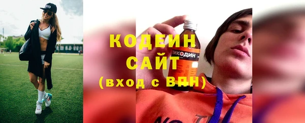 хмурый Нея