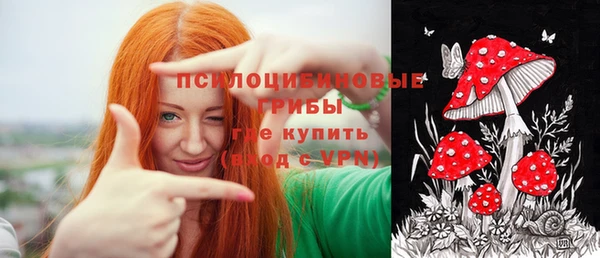 хмурый Нея