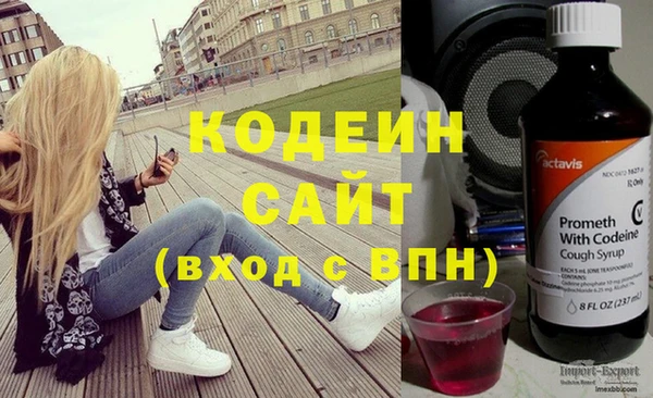 хмурый Нея