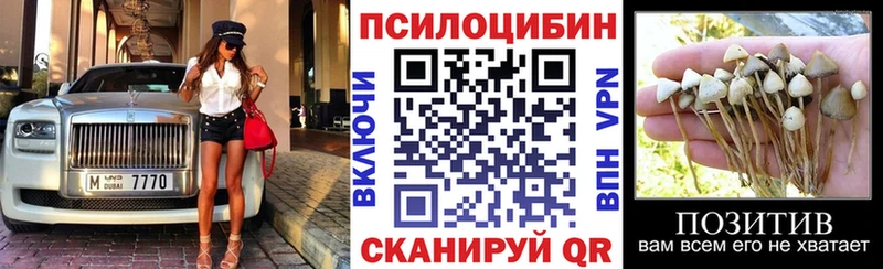 цены наркотик  Цимлянск  Псилоцибиновые грибы ЛСД 